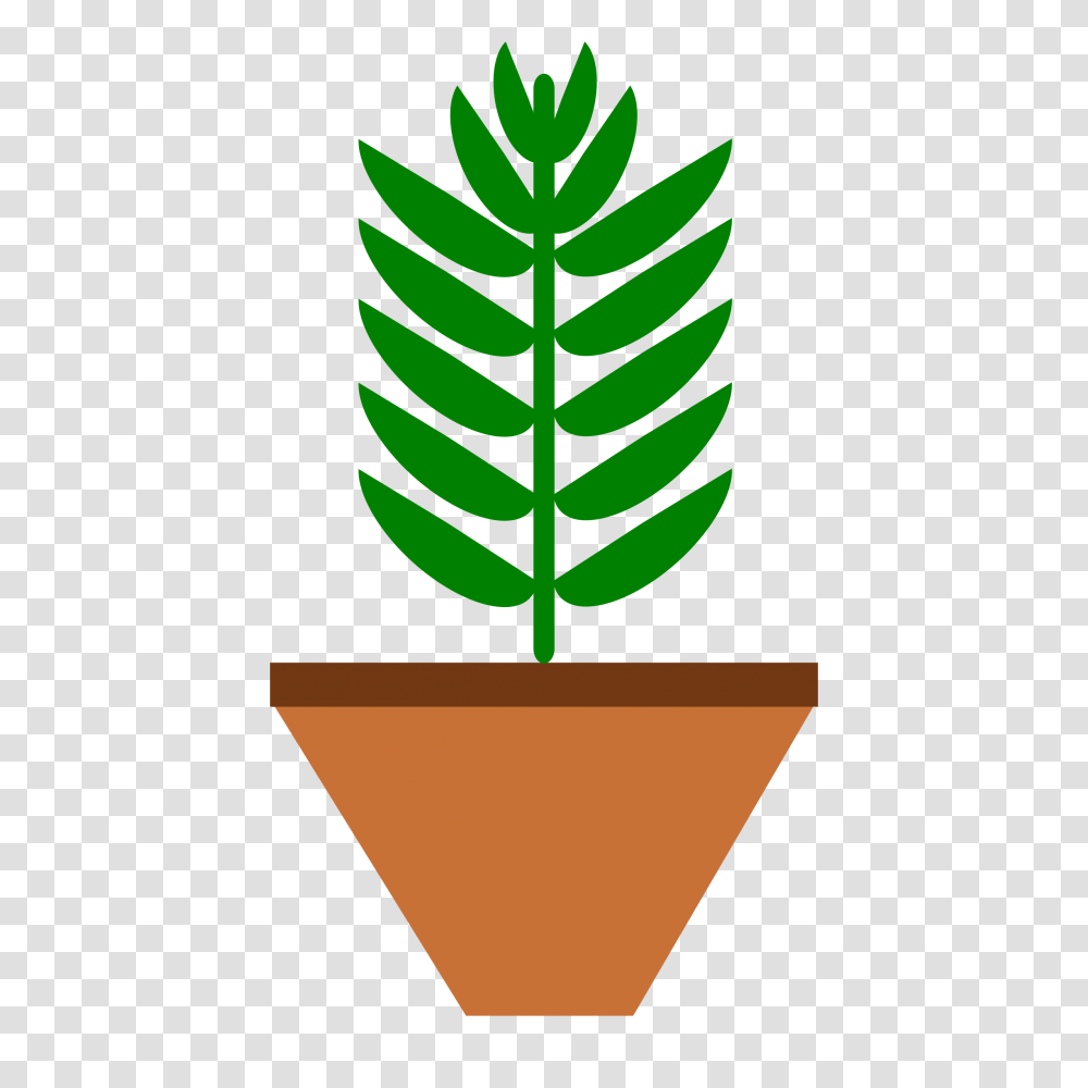 Clipart, Plant, Leaf, Green, Fern Transparent Png