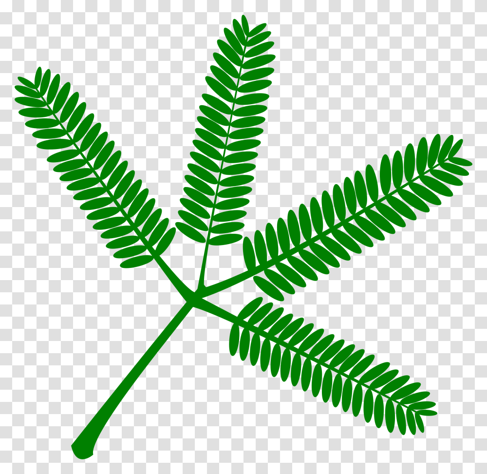 Clipart, Plant, Leaf, Green, Flower Transparent Png