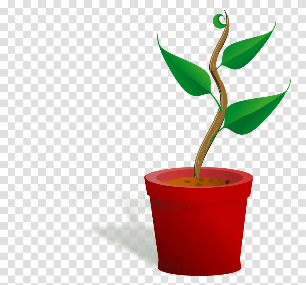 Clipart Plant, Leaf, Sprout, Flower, Blossom Transparent Png