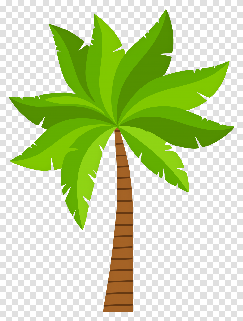 Clipart, Plant, Leaf, Tree, Palm Tree Transparent Png