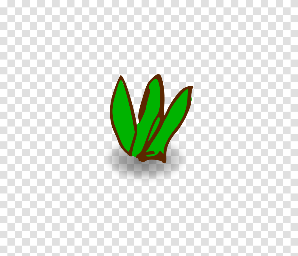 Clipart, Plant, Leaf, Tree Transparent Png