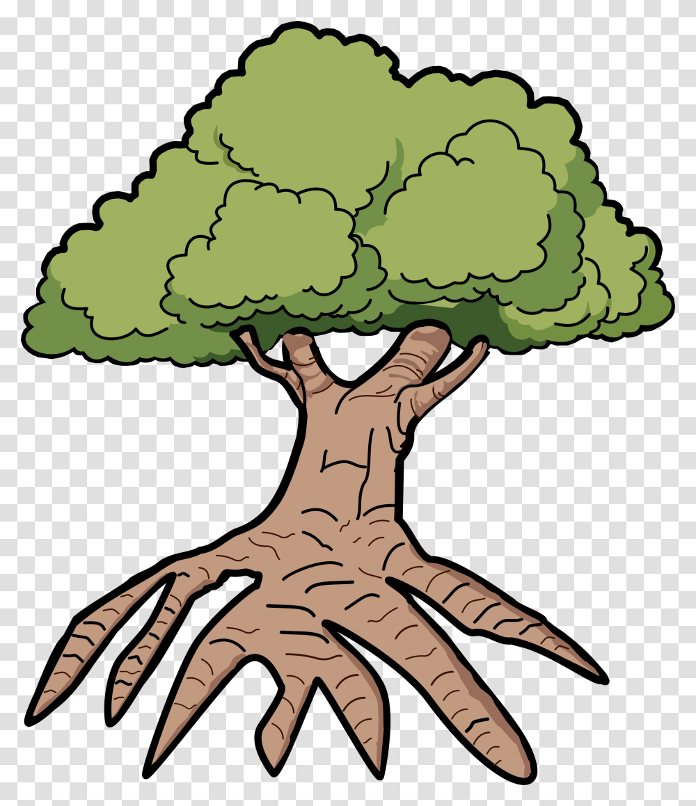 Clipart, Plant, Root, Tree, Person Transparent Png