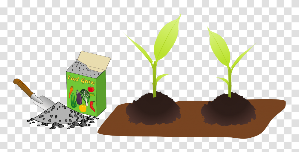 Clipart, Plant, Sprout, Green, Soil Transparent Png