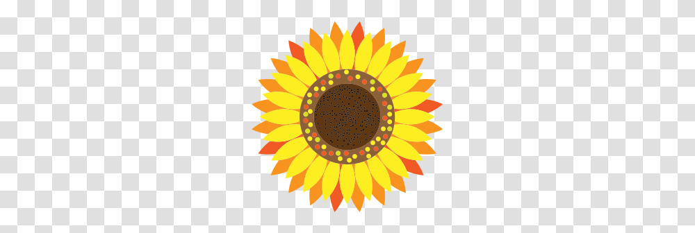 Clipart, Plant, Sunflower, Blossom, Nature Transparent Png