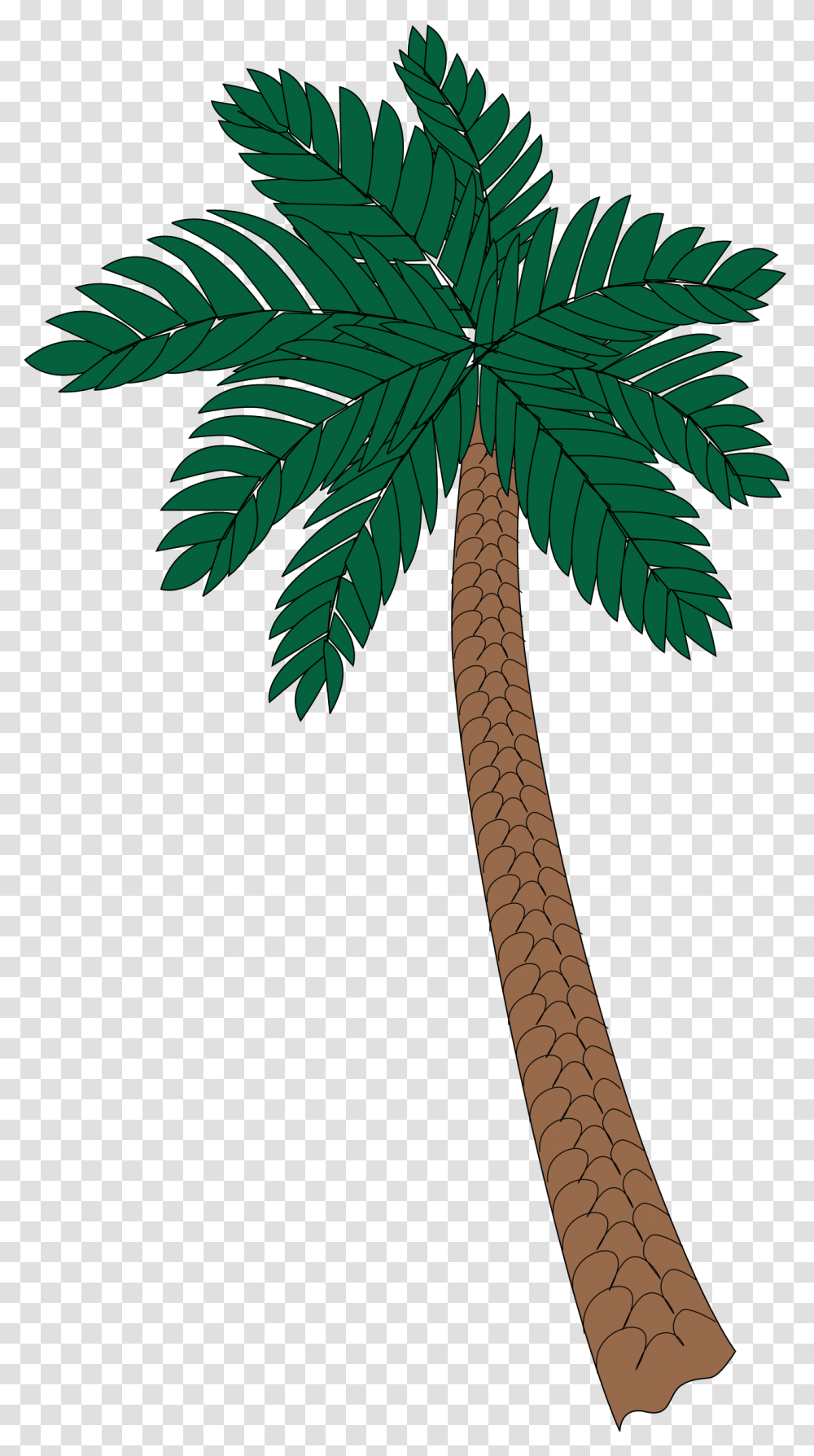 Clipart, Plant, Tree, Palm Tree, Arecaceae Transparent Png