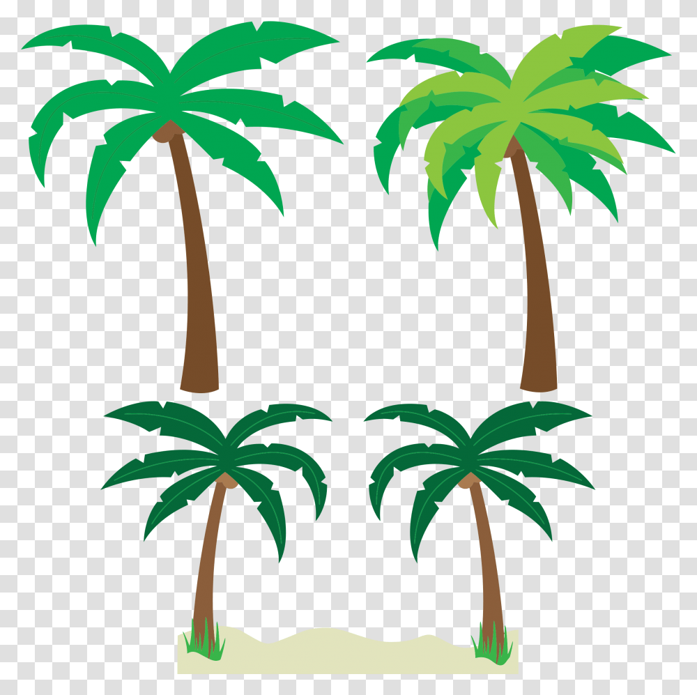 Clipart, Plant, Tree, Palm Tree, Arecaceae Transparent Png