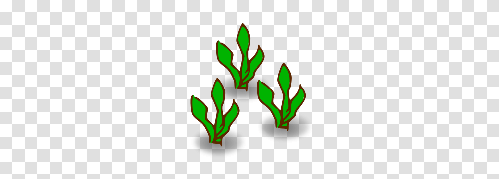 Clipart, Plant, Vegetable, Food, Leaf Transparent Png