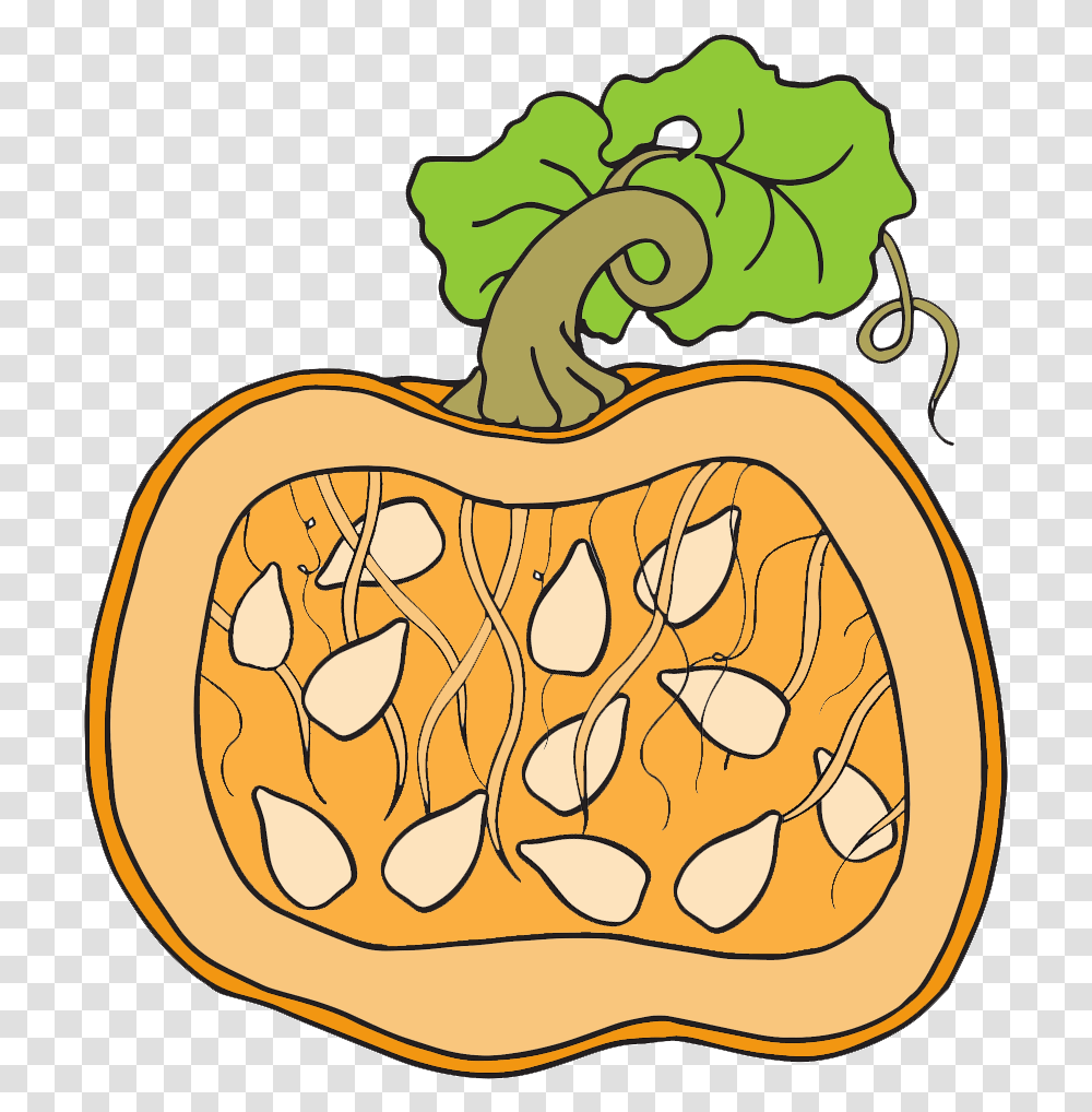 Clipart Pumpkin Has Seeds, Plant, Vegetable, Food, Produce Transparent Png