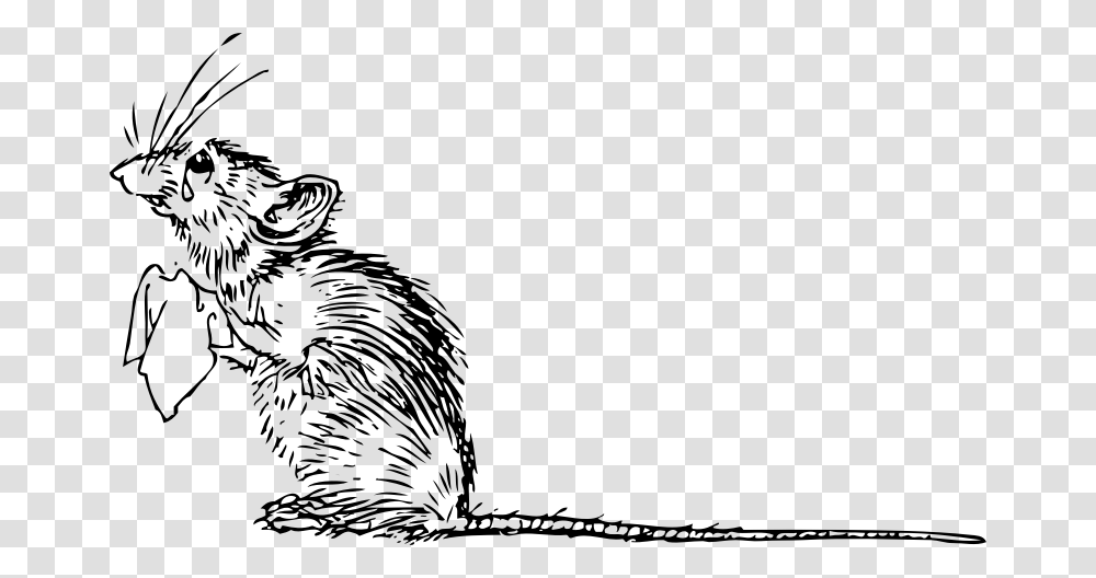 Clipart Rat Sad Rat Sad Mouse Clipart, Gray, World Of Warcraft Transparent Png