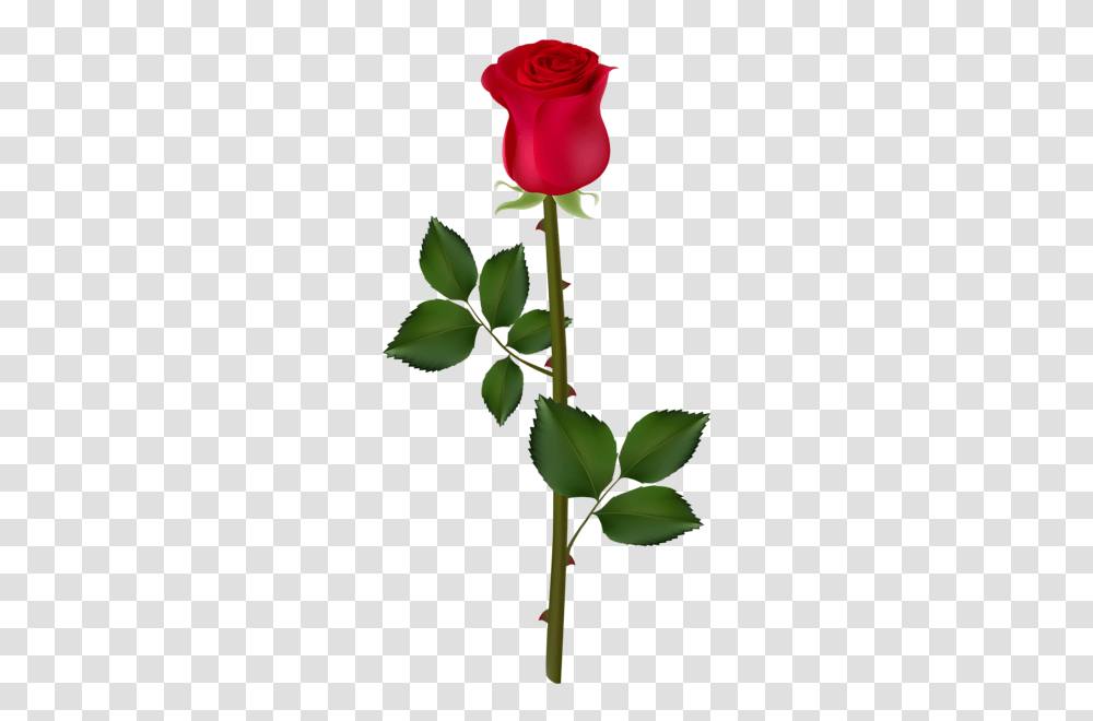 Clipart Red Roses Red Rose, Plant, Flower, Blossom, Leaf Transparent Png