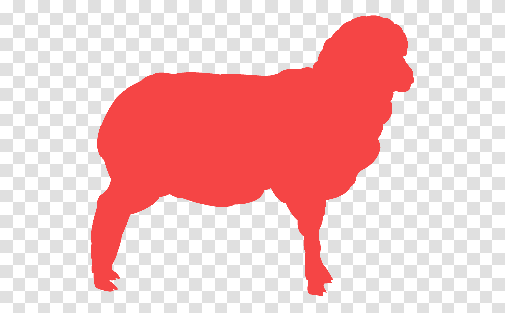 Clipart Red Sheep Silhouette, Mammal, Animal, Bull, Wildlife Transparent Png