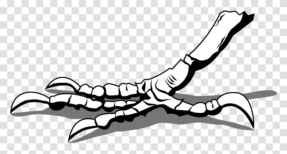 Clipart, Reptile, Animal, Claw, Hook Transparent Png