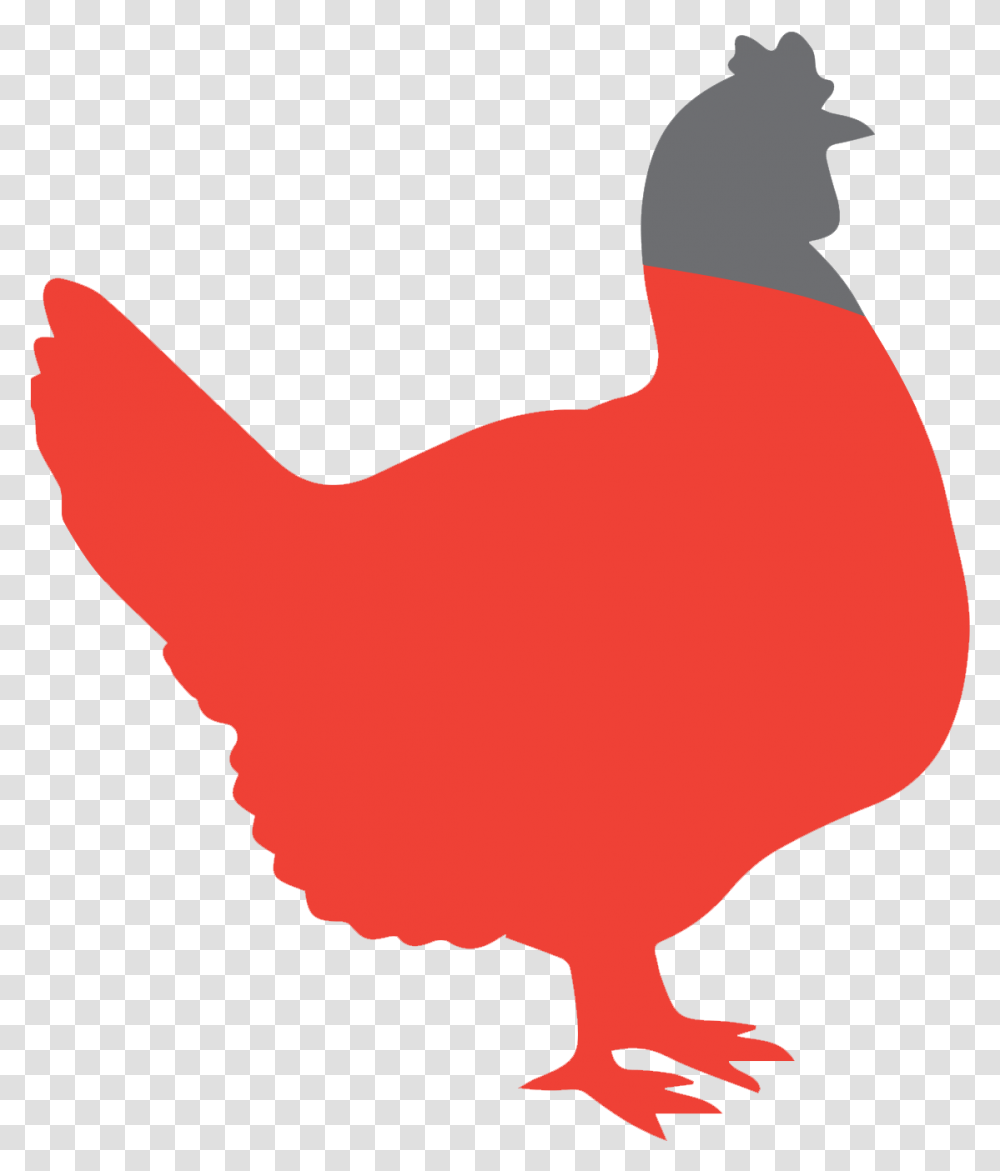 Clipart Rooster Royalty Free Chicken Transprent, Bird, Animal, Person, Human Transparent Png