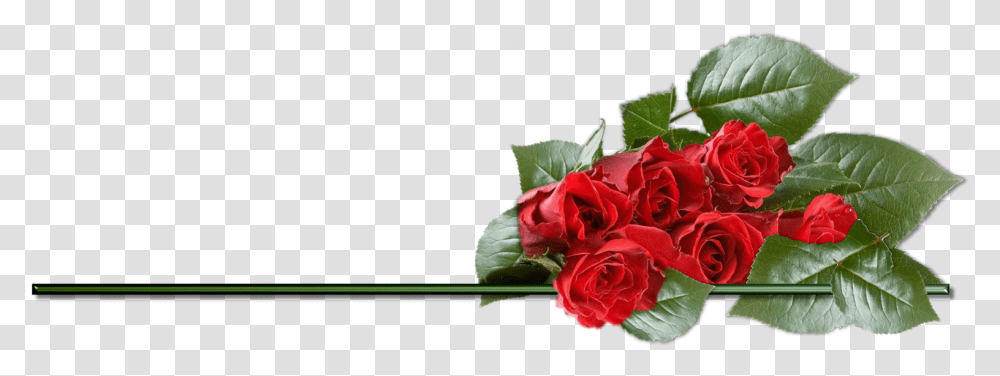 Clipart Rose Best Valentines Day Rose, Plant, Flower, Blossom, Flower Bouquet Transparent Png