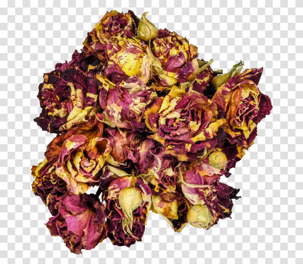 Clipart Rose Dead Rose Dead Roses, Plant, Flower, Flower Arrangement, Floral Design Transparent Png