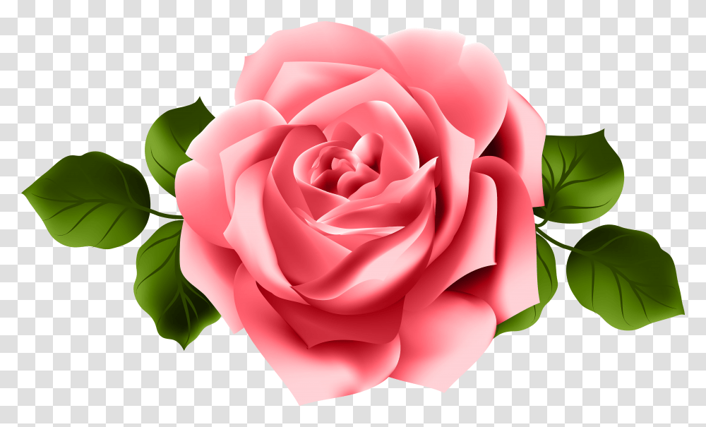 Clipart Rose Tea Pink Red Rose Transparent Png