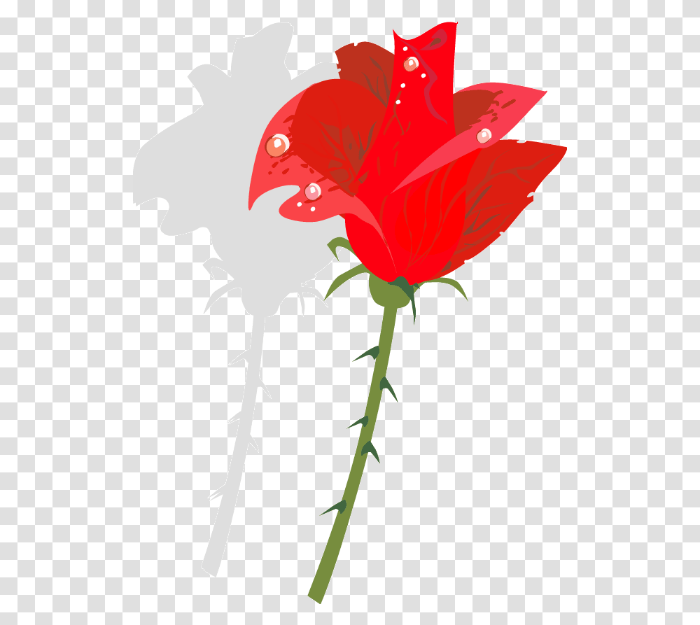 Clipart Rose Thorn Free For Rose Thorn Clipart, Plant, Flower, Blossom, Petal Transparent Png