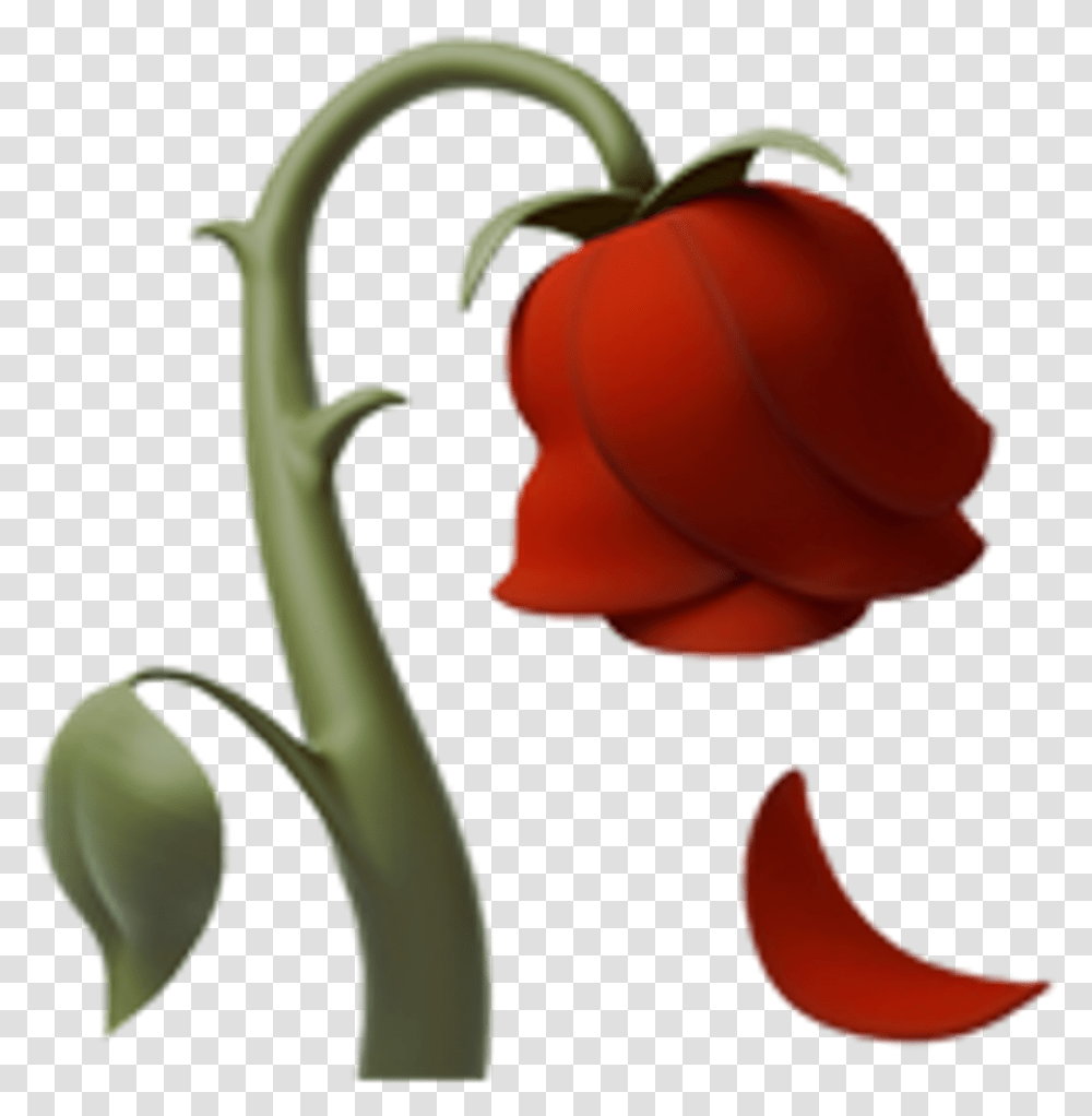 Clipart Roses Emoji Free Iphone Rose Emoji, Plant, Flower, Blossom, Vegetable Transparent Png