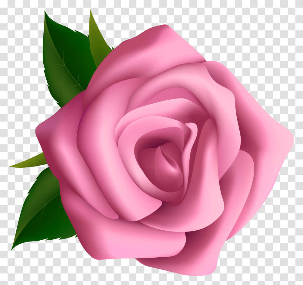 Clipart Roses Pink Rose Hd Transparent Png