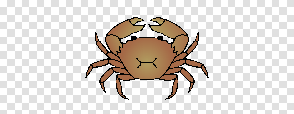 Clipart, Sea Life, Animal, Crab, Seafood Transparent Png