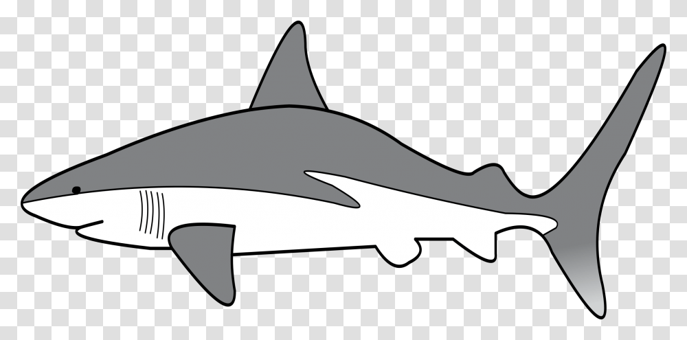 Clipart, Sea Life, Animal, Shark, Fish Transparent Png