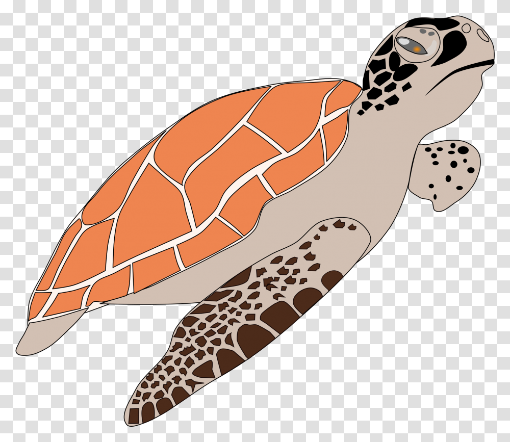 Clipart Sea Turtle, Reptile, Animal, Sea Life, Gecko Transparent Png
