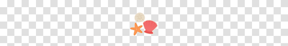 Clipart Seashell Clipart Free Clip Art Seashell Clipart Seashell, Sweets, Food, Confectionery, Sea Life Transparent Png