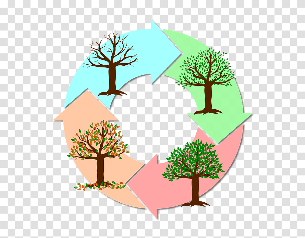 Clipart Seasons Of The Year Clip Art Images, Tree, Plant Transparent Png