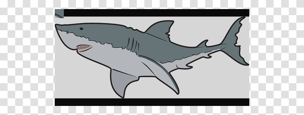 Clipart Shark, Sea Life, Fish, Animal, Great White Shark Transparent Png