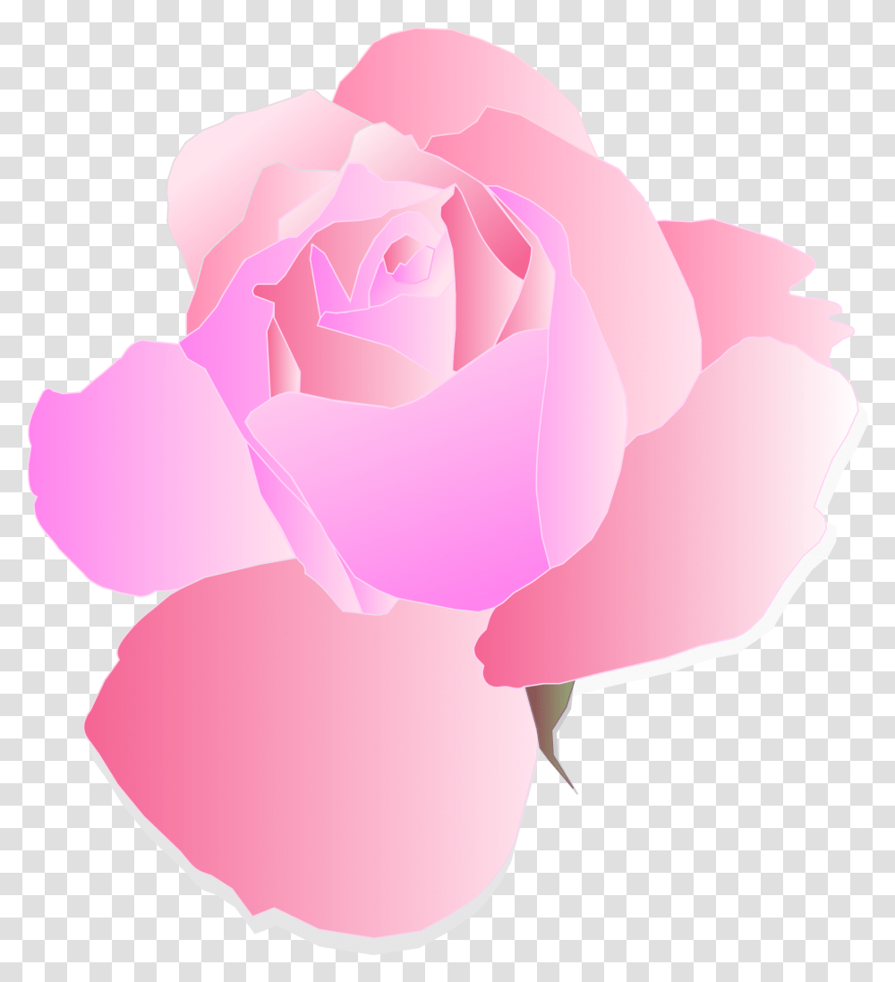 Clipart Shoes Flower Pink Flower Background, Rose, Plant, Blossom, Petal Transparent Png