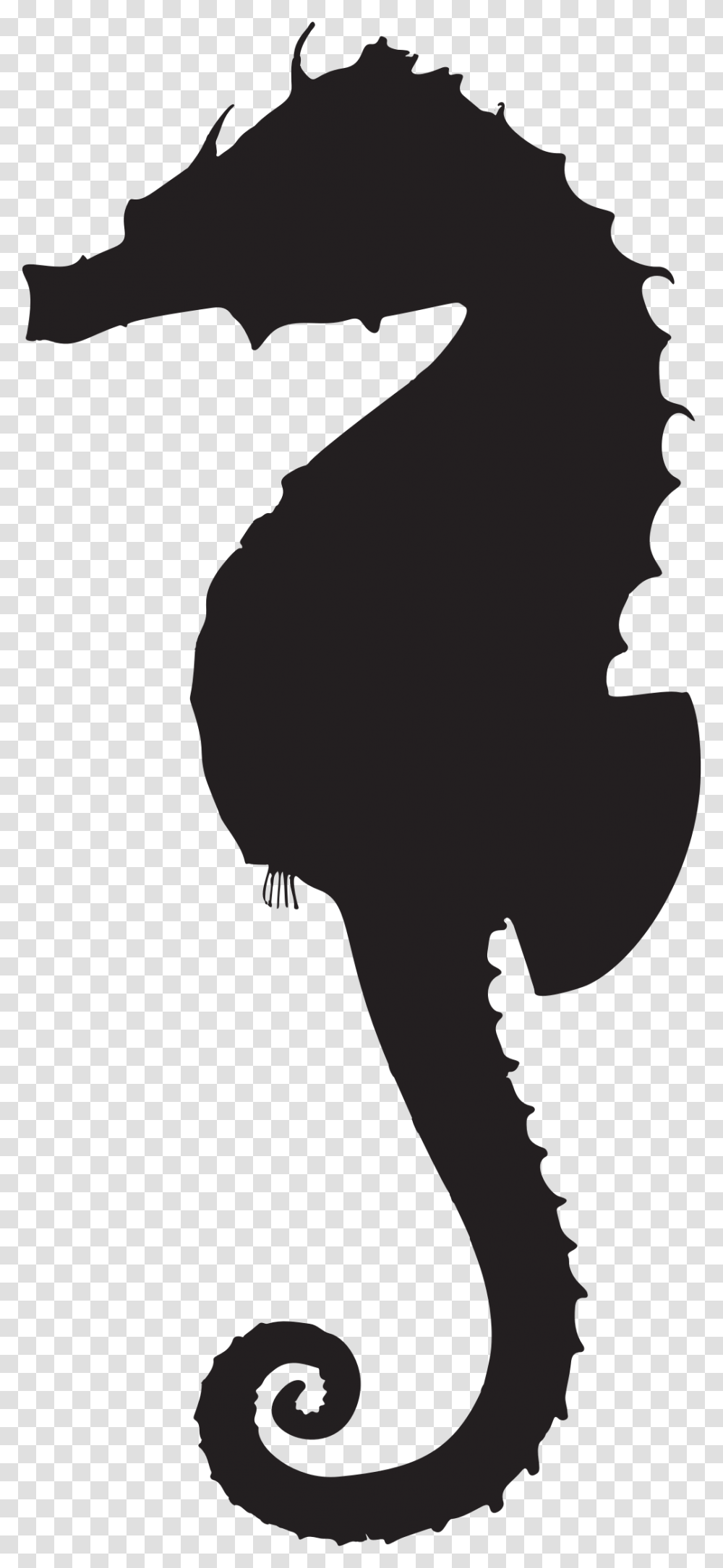 Clipart, Silhouette, Person, Photography, Stencil Transparent Png