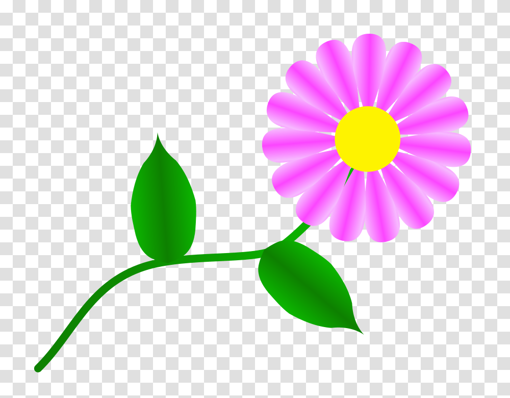 Clipart Singing, Plant, Flower, Blossom, Petal Transparent Png