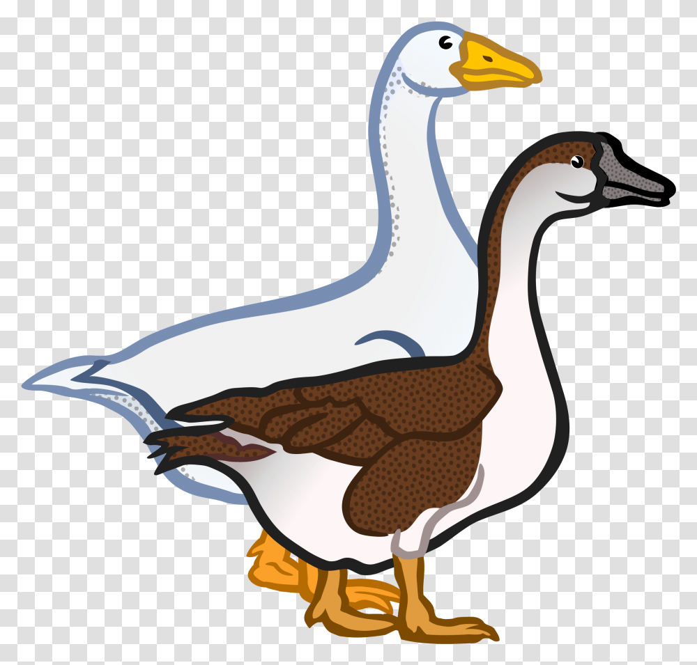 Clipart Singular And Plural Duck, Goose, Bird, Animal Transparent Png