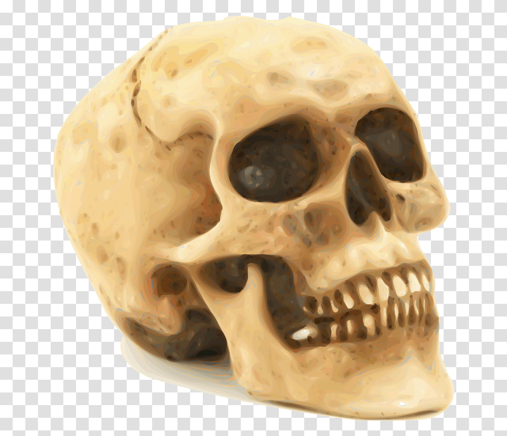 Clipart Skull Human Human Skull, Helmet, Clothing, Apparel, Jaw Transparent Png