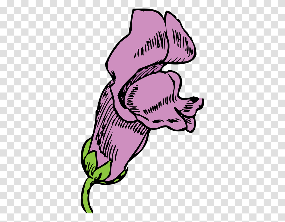 Clipart Snapdragon Flower Drawing, Animal, Reptile, Mammal, Dinosaur Transparent Png