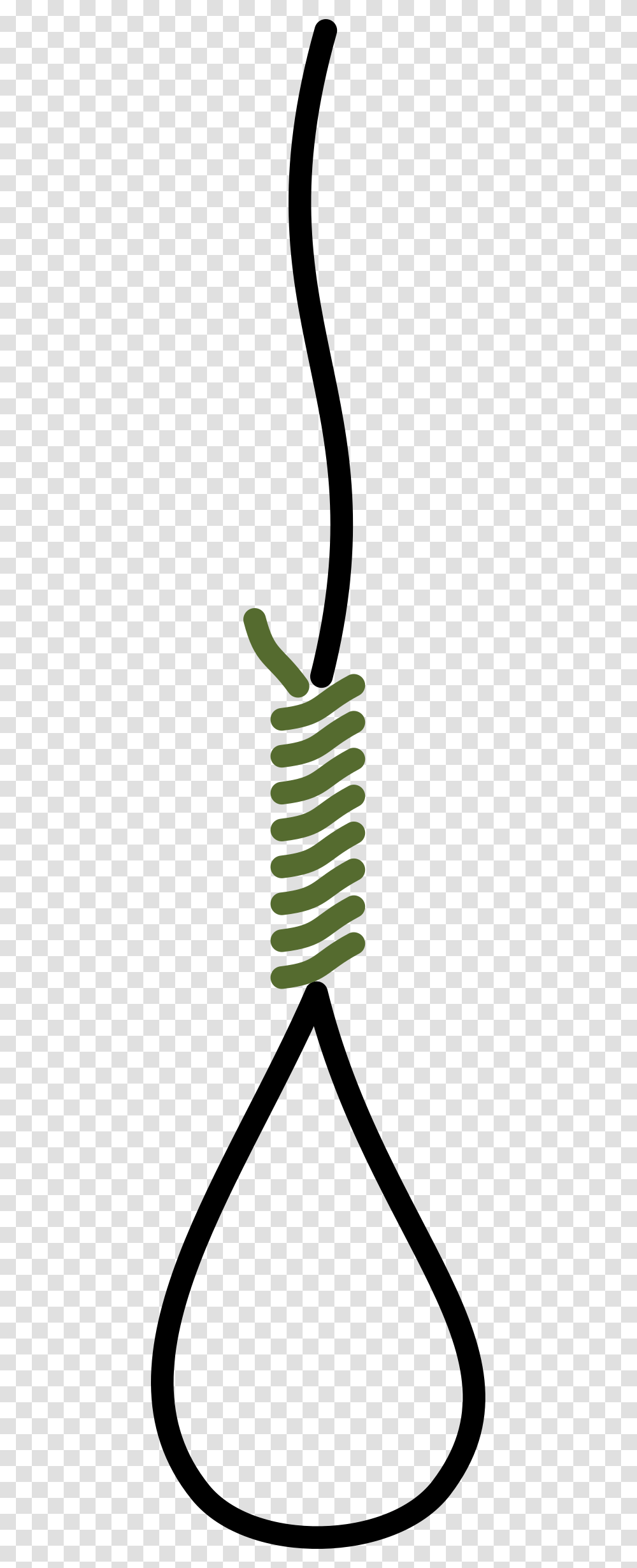 Clipart, Spiral, Coil, Plant, Insect Transparent Png