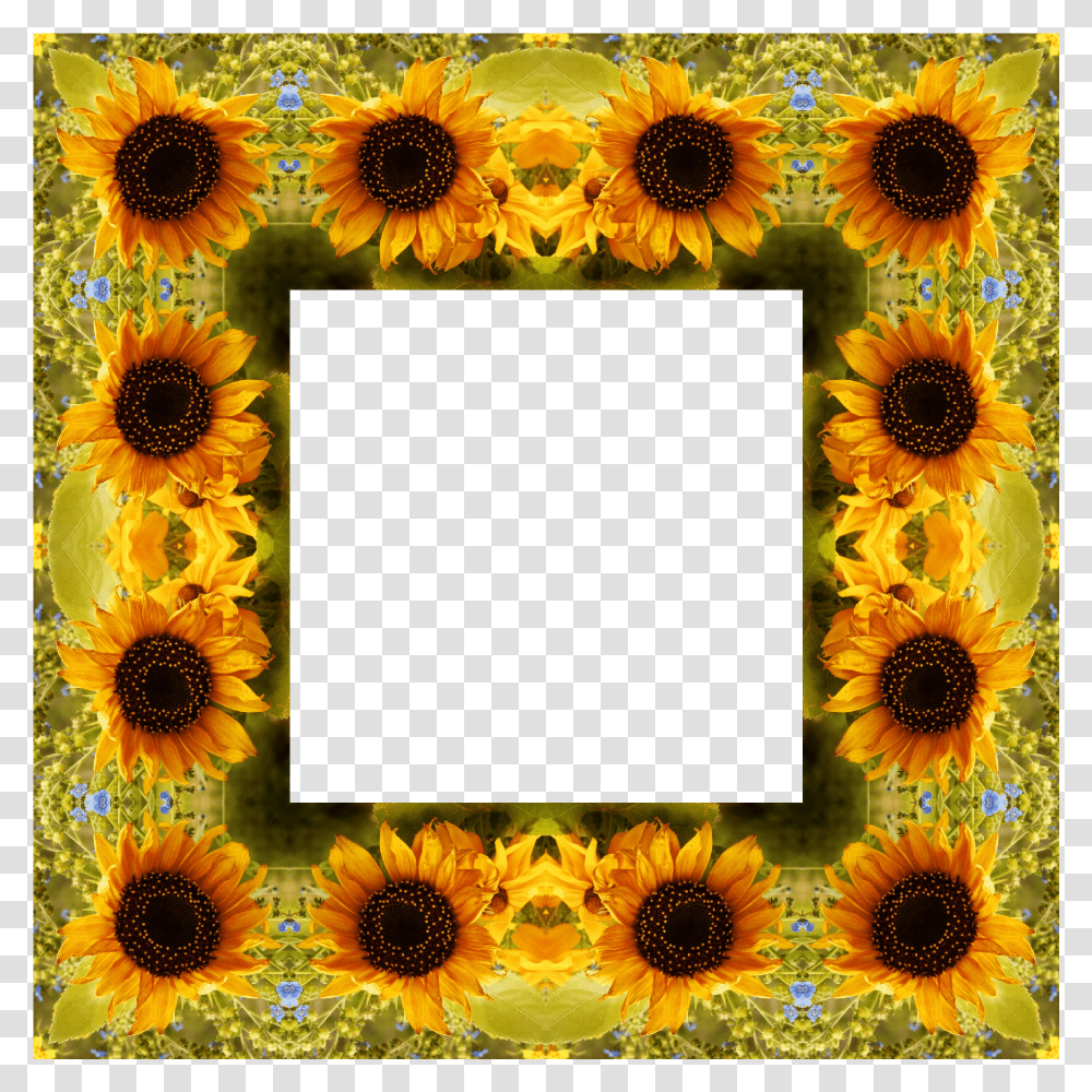 Clipart Sunflower Best Calendar, Plant, Blossom, Rug, Collage Transparent Png
