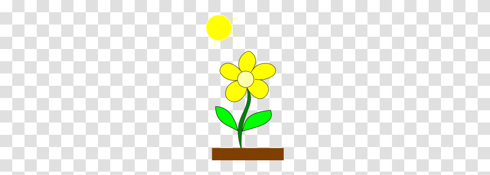 Clipart Sunshine Flowers Clip Art Images, Floral Design, Pattern, Plant Transparent Png