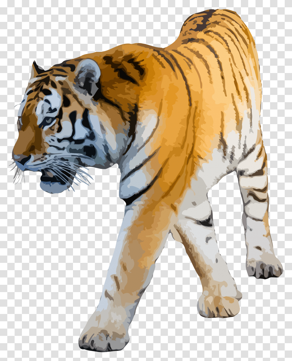 Clipart Tiger Background Image Tiger Hd, Wildlife, Animal, Mammal, Zebra Transparent Png