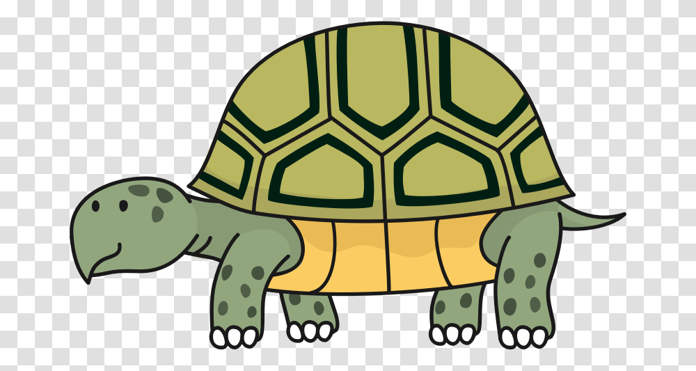 Clipart, Tortoise, Turtle, Reptile, Sea Life Transparent Png