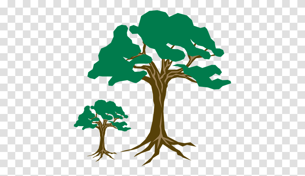 Clipart Tree Green Nature Wood Branch Season, Plant, Root, Painting, Palm Tree Transparent Png