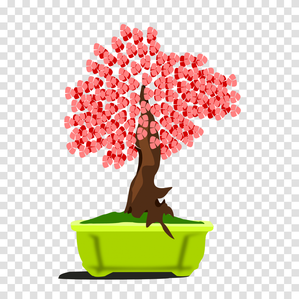 Clipart, Tree, Plant, Lamp, Bonsai Transparent Png