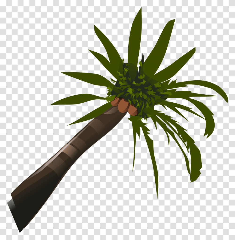 Clipart, Tree, Plant, Palm Tree, Arecaceae Transparent Png