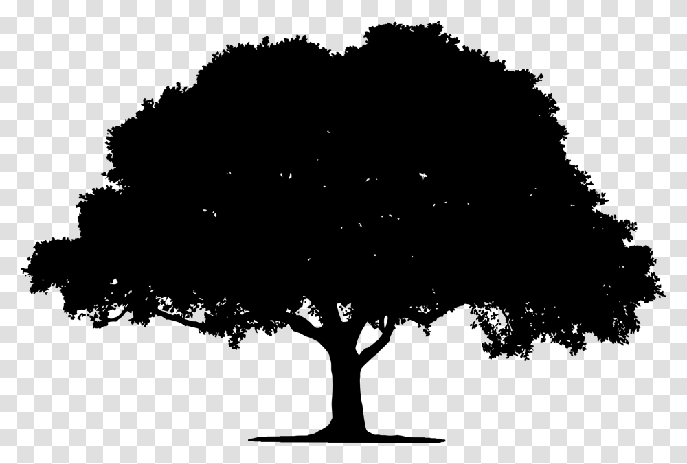 Clipart Tree Silhouette Vector, Gray, World Of Warcraft Transparent Png