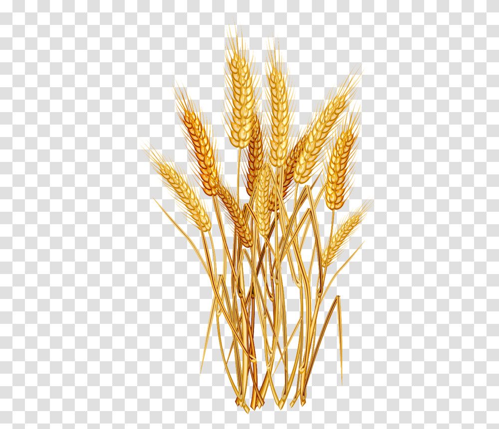 Clipart Tree Wheat Free For Wheat Plant, Vegetable, Food, Grain, Produce Transparent Png