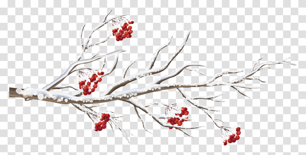 Clipart Tree Winter Winter Tree Branch Clipart Transparent Png