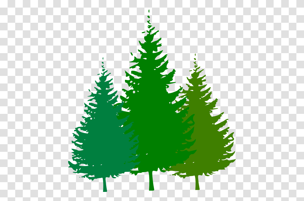 Clipart Trees Forest Pine Tree Black And White, Plant, Fir, Abies, Conifer Transparent Png