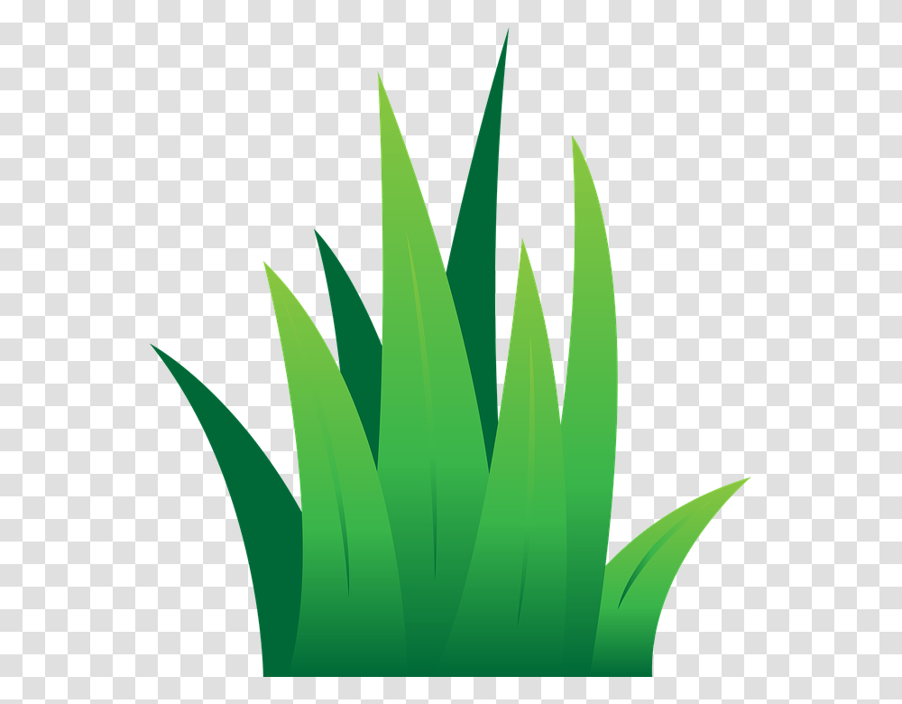 Clipart Tuft Of Grass, Plant, Aloe, Leaf Transparent Png