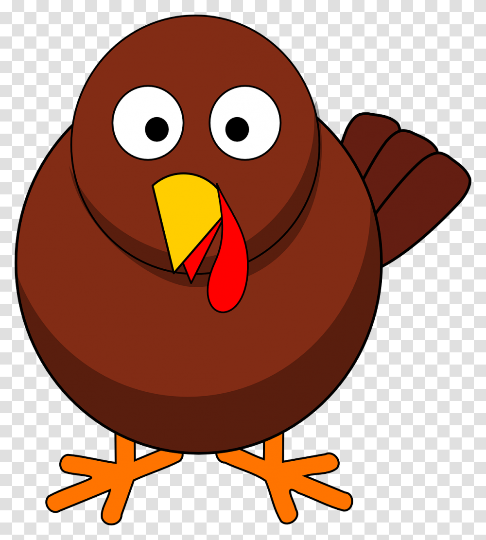 Clipart Turkey, Animal, Bird, Beak, Penguin Transparent Png