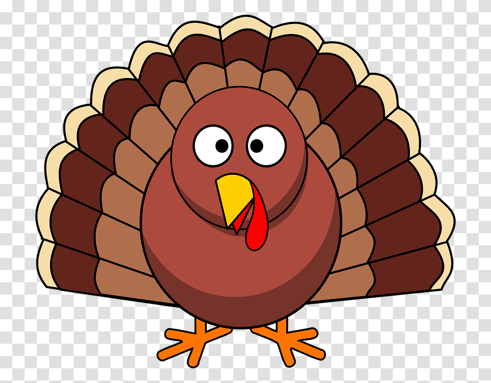 Clipart Turkey, Bird, Animal, Fowl, Poultry Transparent Png